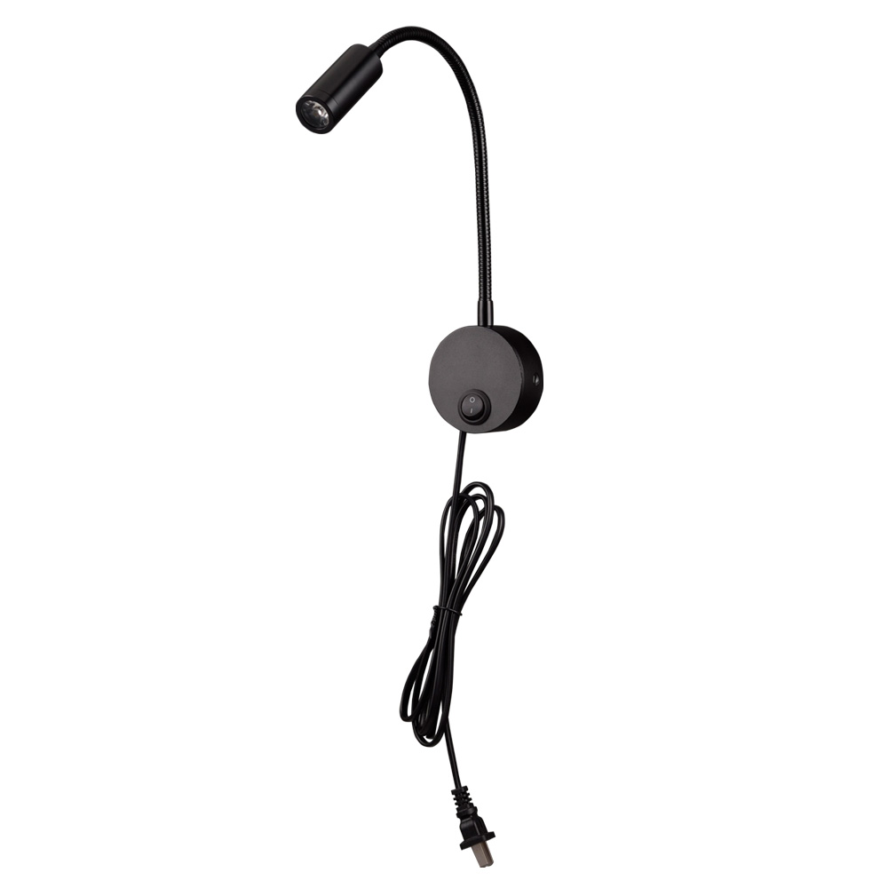 Plug wire hose light
