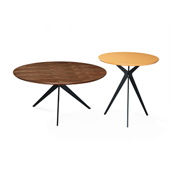 Combination Coffee Table