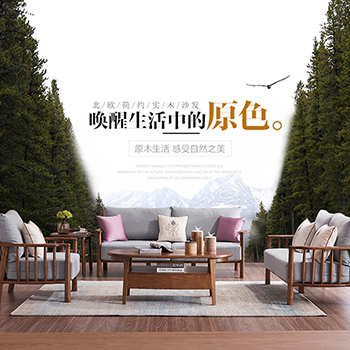 Nordic contracted solid wood sofa