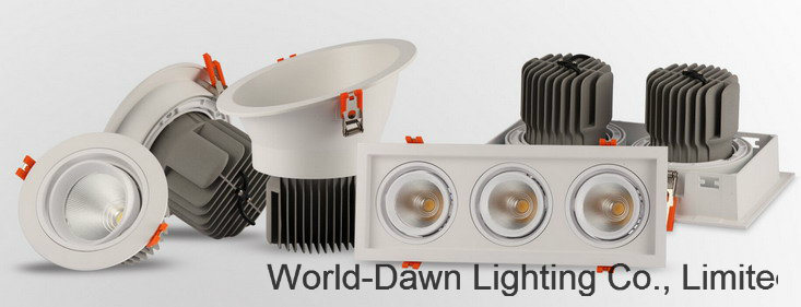 15W Recessed COB Ceiling LED Downlight (WD-4071A)