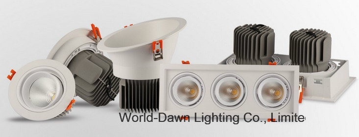 15W Ajustable Recessed COB Ceiling LED Downlight (WD-4070A)