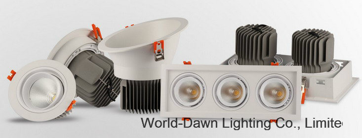 2*15W Recessed COB Ceiling LED Downlight (WD-1032A)