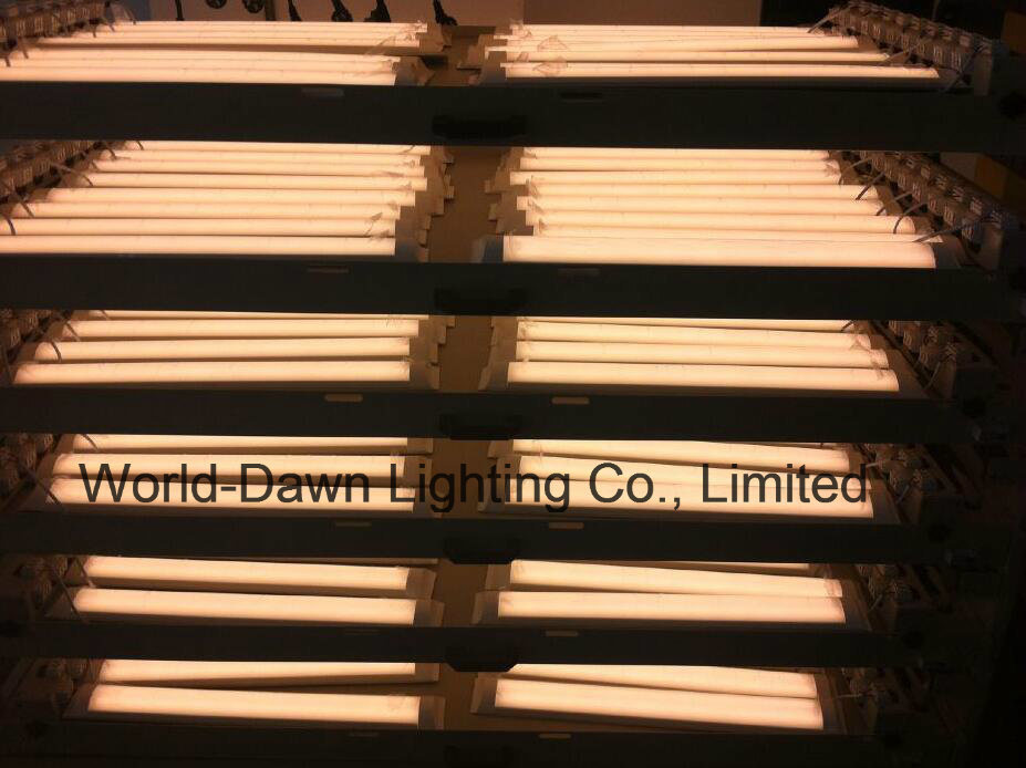 LVD 2 Years Warranty LED Batten Light (WD-300-Batten-10W)