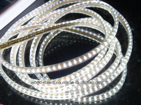 Ce 2 Years Warranty 220V/127V Flexible LED Rope Light (SMD2835-180LED)