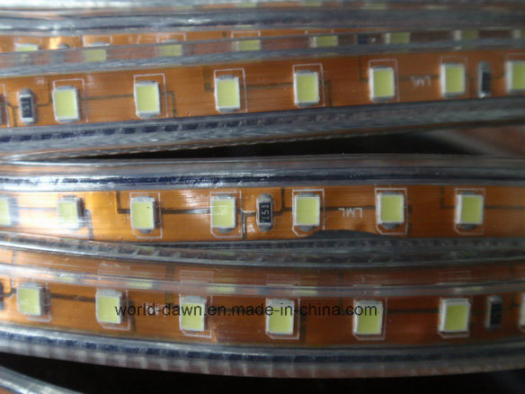 Ce 2 Years Warranty 220V/127V Flexible LED Rope Light (SMD2835-180LED)