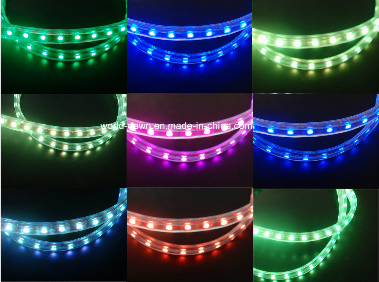 Ce EMC LVD RoHS Two Years Warranty RGB LED Rope Light
