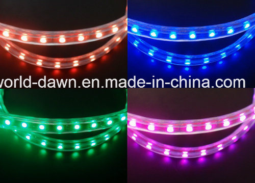 Ce EMC LVD RoHS Two Years Warranty RGB LED Rope Light