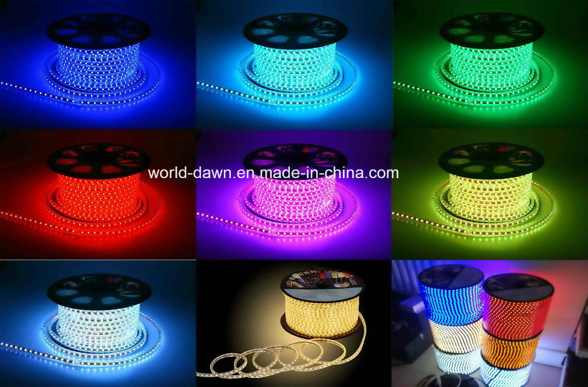 Ce EMC LVD RoHS Two Years Warranty RGB LED Rope Light