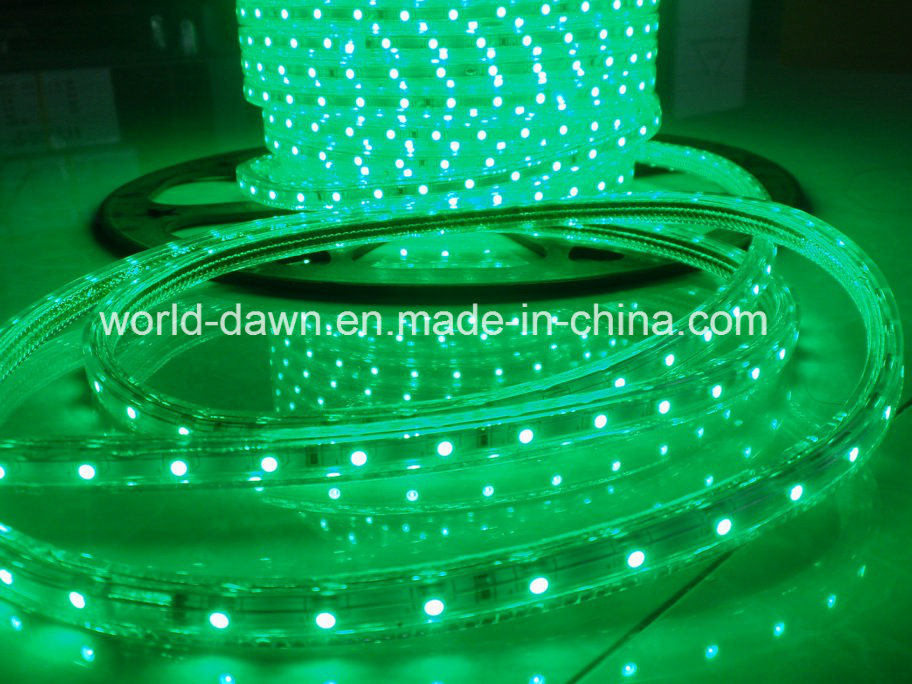 Ce EMC LVD RoHS Two Years Warranty 220V LED Rope Light