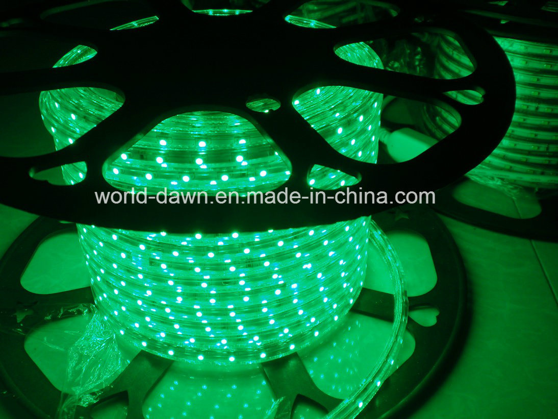 Ce EMC LVD RoHS Two Years Warranty 220V LED Rope Light