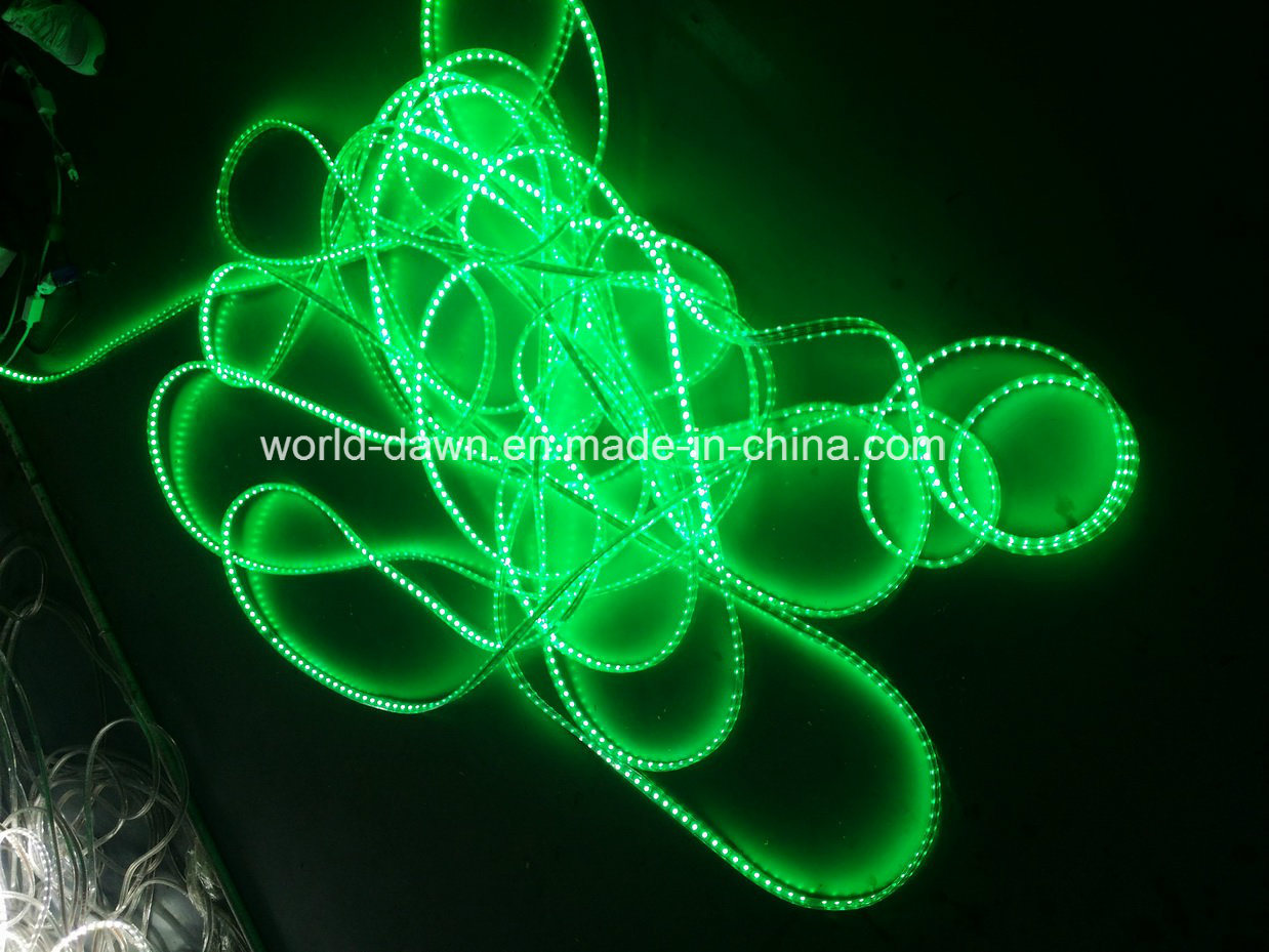 Ce EMC LVD RoHS Two Years Warranty 220V LED Rope Light