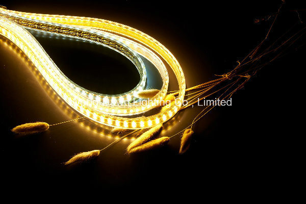 High Brightness LED High Voltage Rope Light with CE Approval