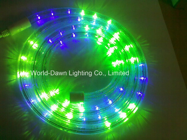 110V 220V RGB 4 Wire Round LED DIP Rope Light