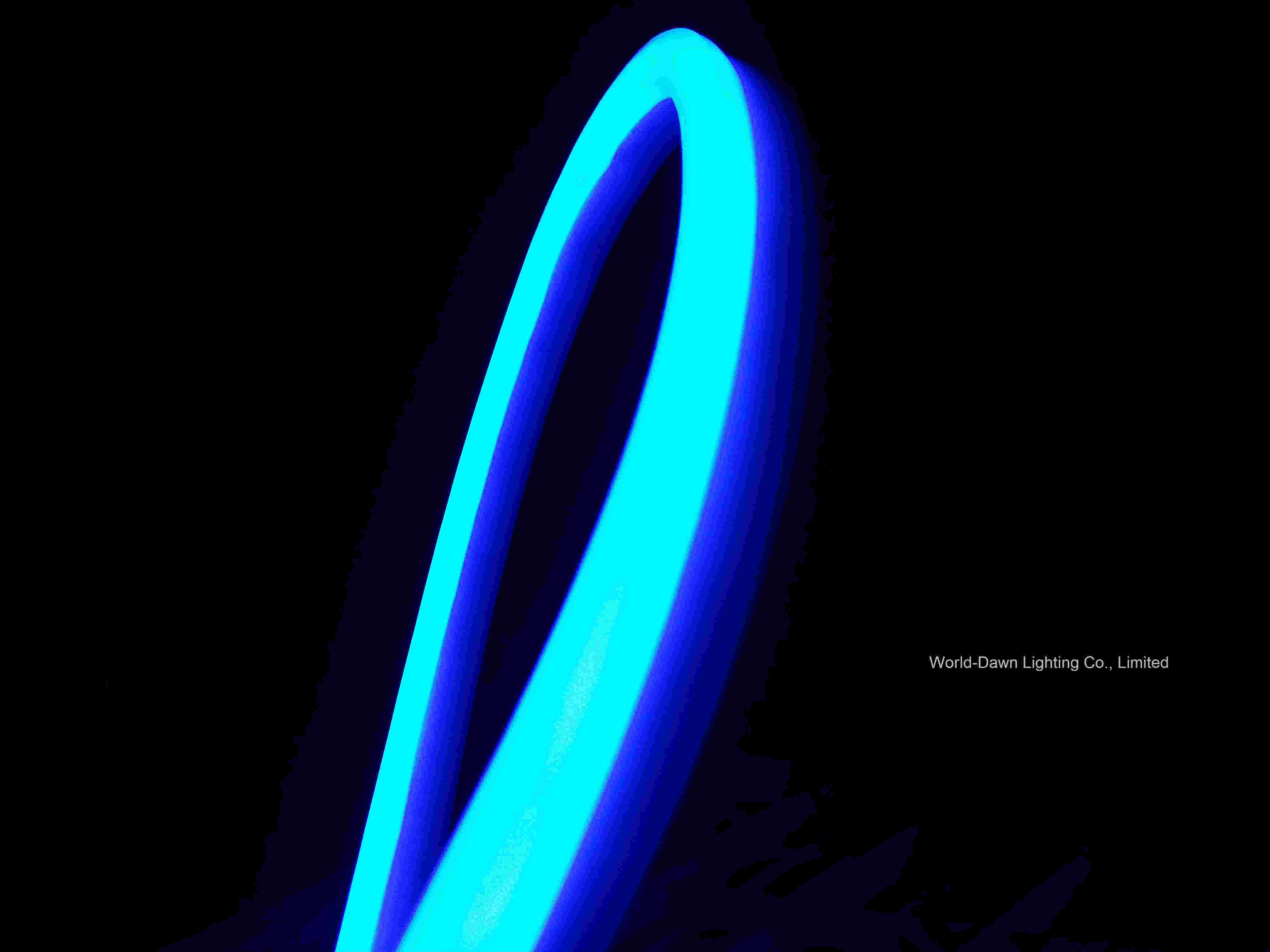 High Brightness Decorated LED Neon Flex (WDLSN-220-F5-80LEDs-E)