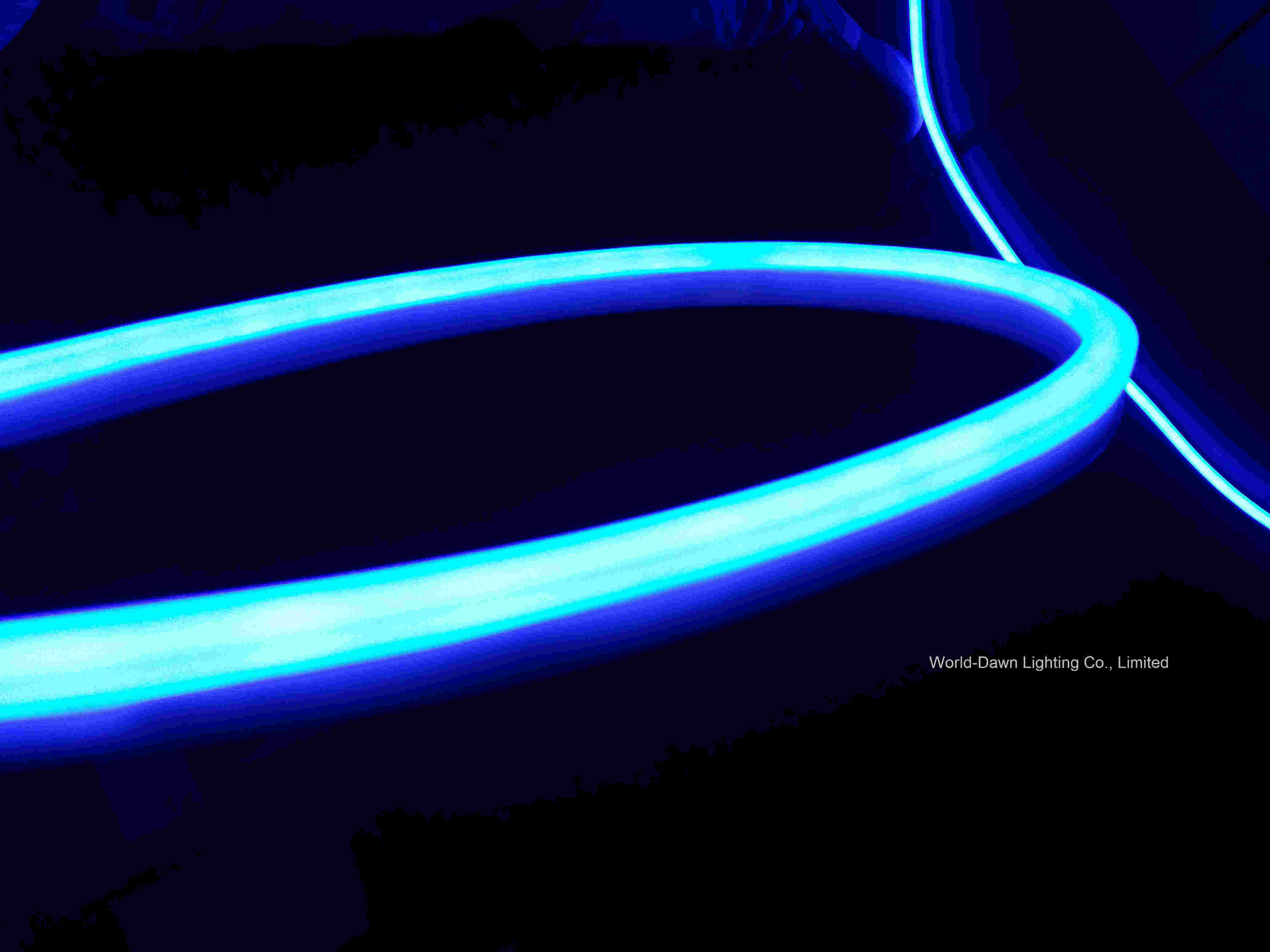 High Brightness Decorated LED Neon Flex (WDLSN-220-F5-80LEDs-E)
