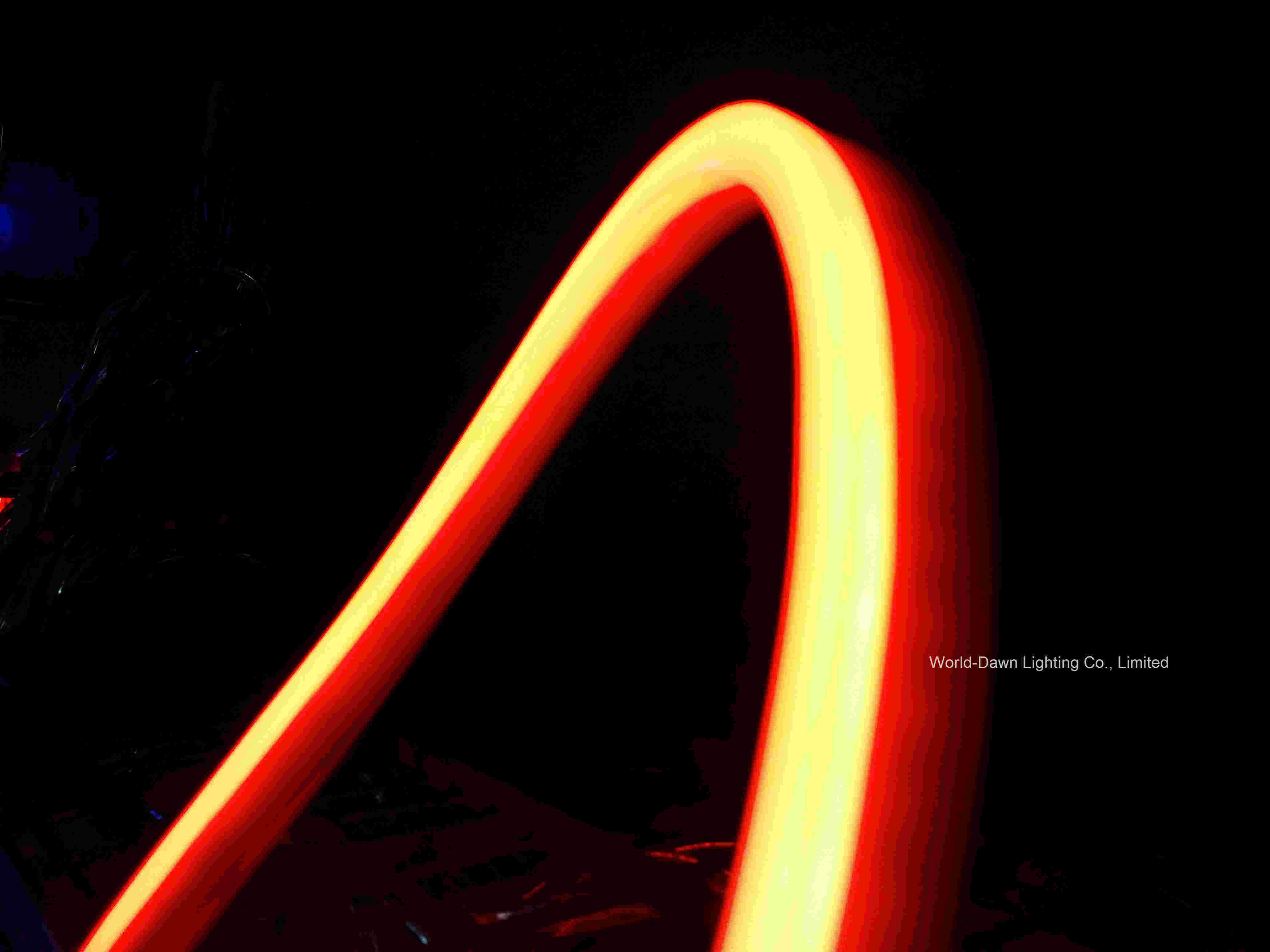 High Brightness Decorated LED Neon Flex (WDLSN-220-F5-80LEDs-E)