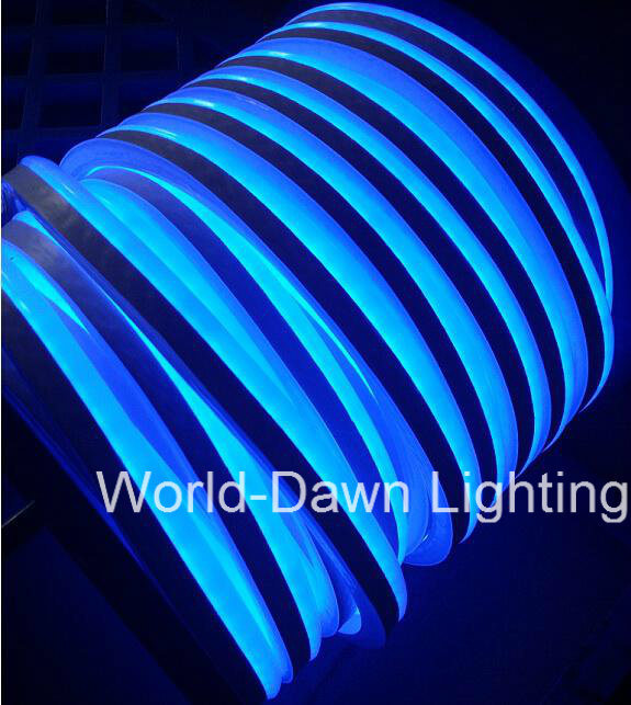 High Brightness Decorated LED Neon Flex (WDLSN-220-F5-80LEDs-E)