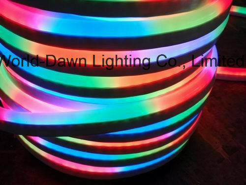 LED Neon Flex Rope Light (Smg) for Building Decoration