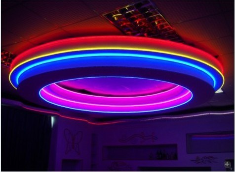 Ce EMC LVD RoHS Two Years Warranty Blue LED Flex Neon