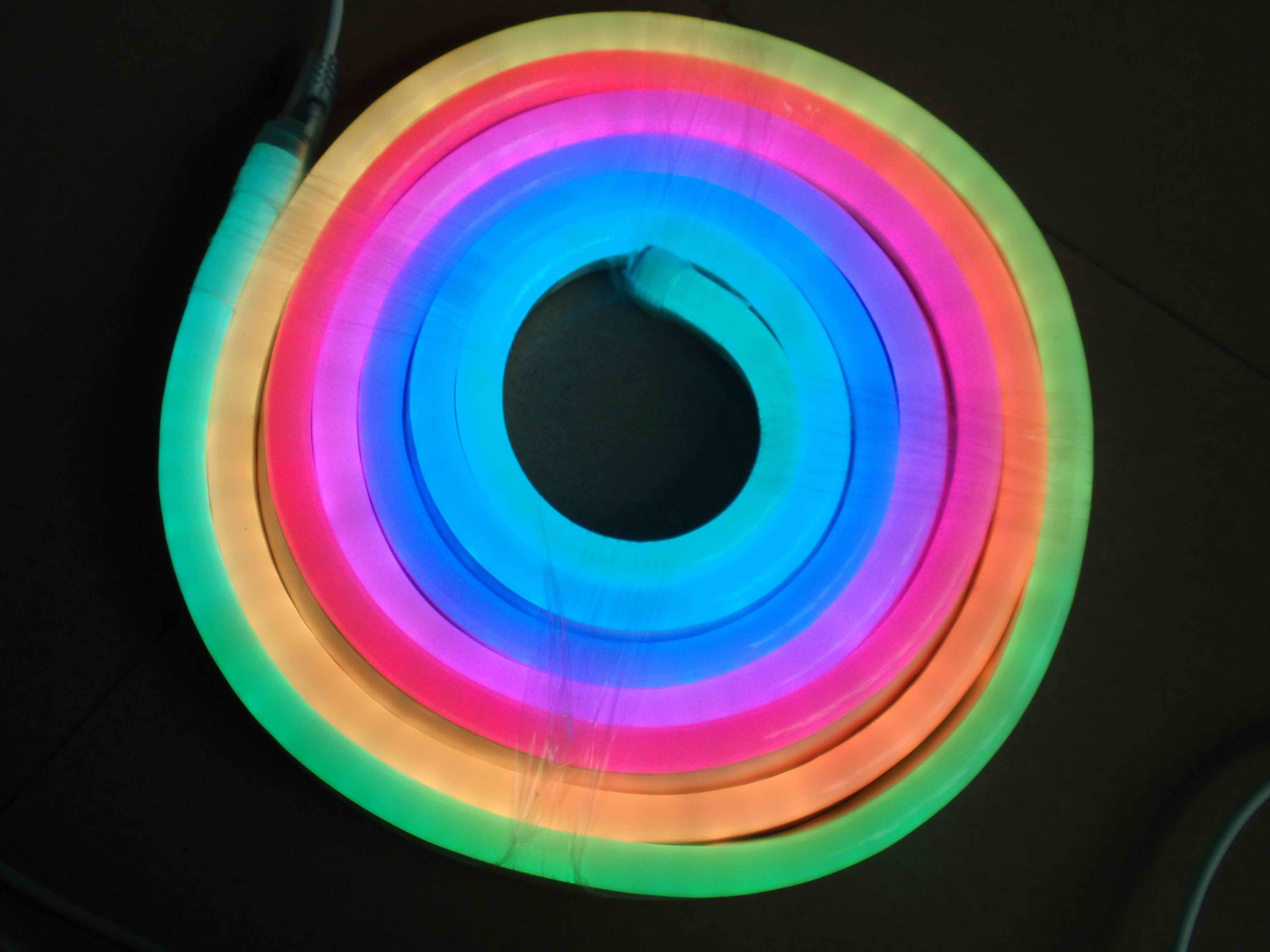 Ce EMC LVD RoHS Two Years Warranty Blue LED Flex Neon