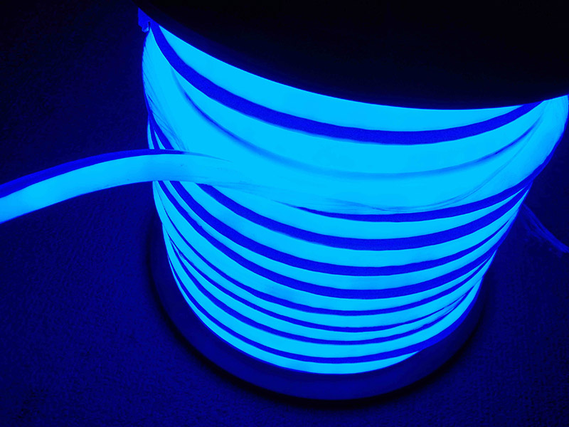 Christmas Decoration Digital LED Neon Flex Rope Light (DLSM)