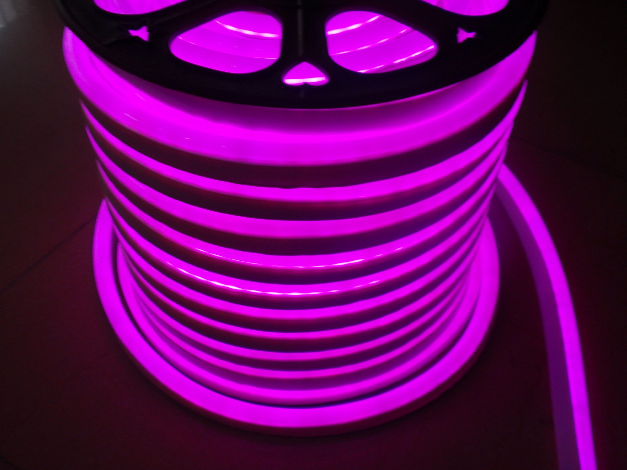 Christmas Decoration Digital LED Neon Flex Rope Light (DLSM)