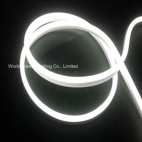Ce EMC LVD RoHS Two Years Warranty LED Neon Light (WD-E-SMG - FNF2L-SMD- 120L)