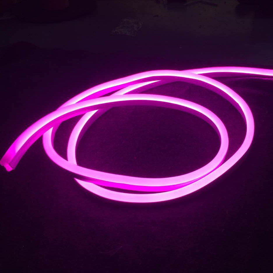 New Item Mini LED Neon Flex (WD220-MF2W-2835-120L-NFL)