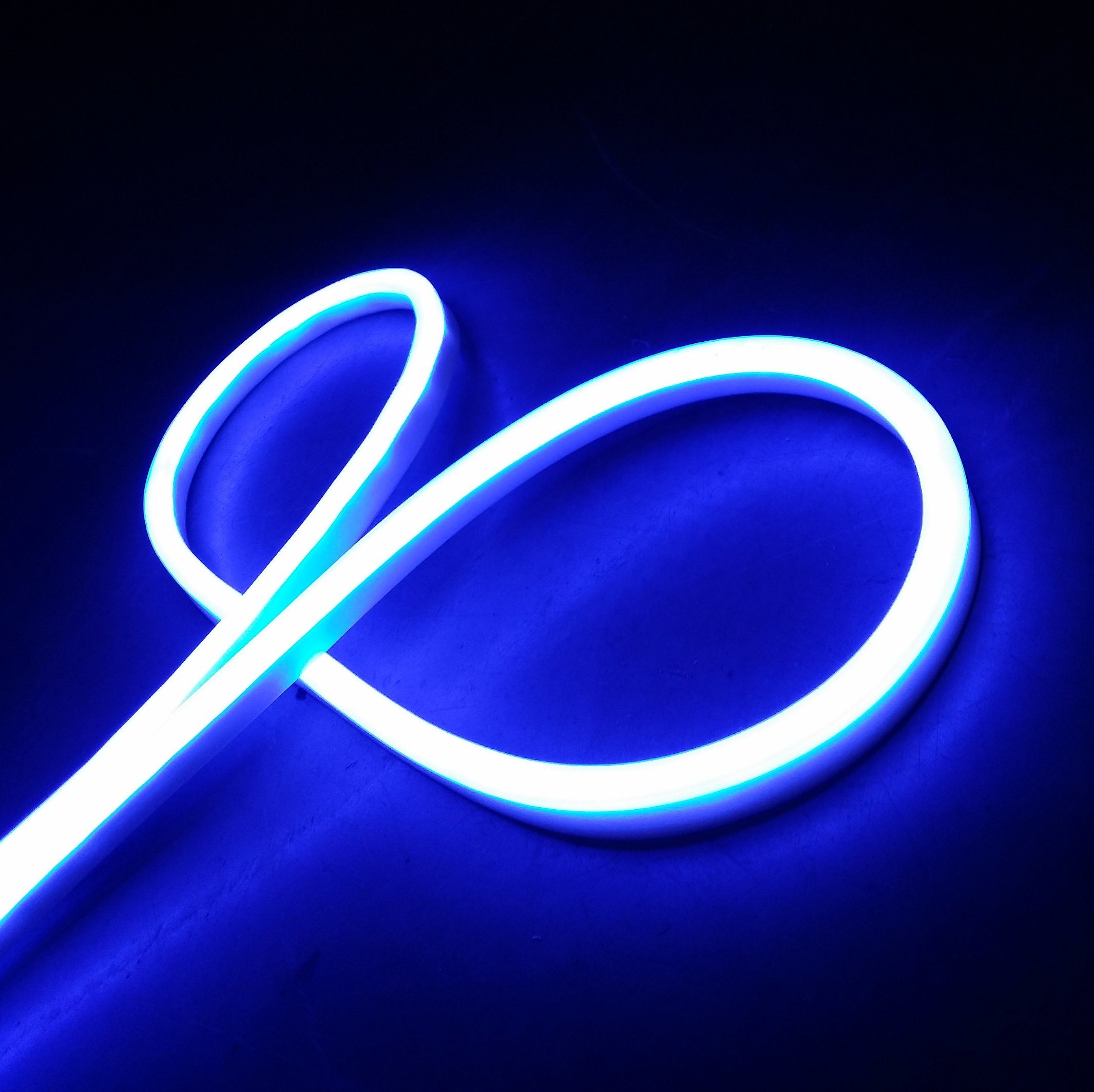 New Item Mini LED Neon Flex (WD220-MF2W-2835-120L-NFL)