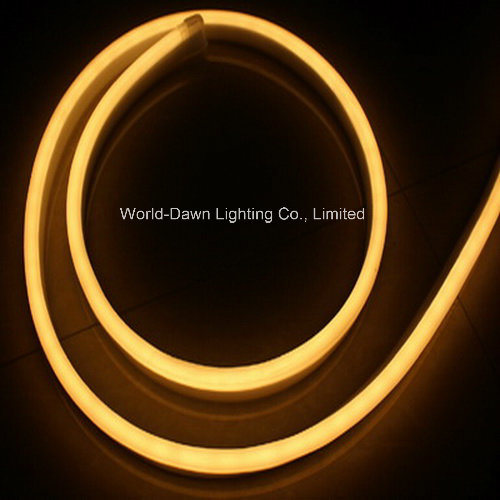 Ce EMC LVD RoHS LED Neon Rope Light with 2 Years Warranty (WD-E-SMG - FNF2L-SMD- 120L)