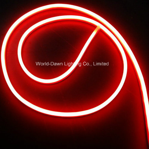 Ce EMC LVD RoHS LED Neon Rope Light with 2 Years Warranty (WD-E-SMG - FNF2L-SMD- 120L)