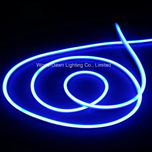 Ce EMC LVD RoHS LED Neon Rope Light with 2 Years Warranty (WD-E-SMG - FNF2L-SMD- 120L)