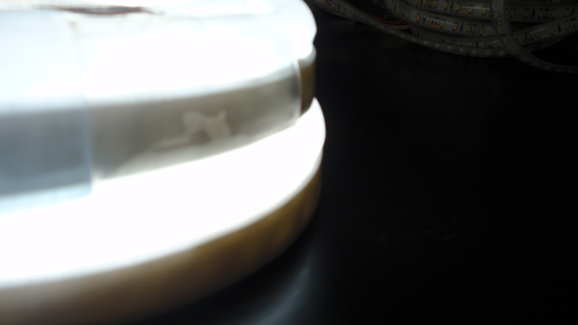 White Color LED Neon Flex Rope Light (Lsn)