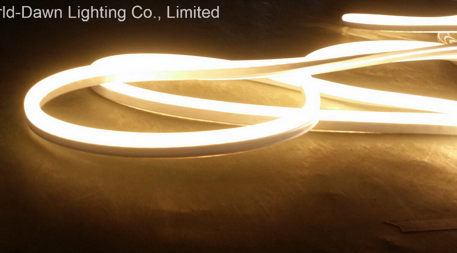 Ce EMC LVD RoHS Two Years Warranty New LED Flex Neon (WD220-SQ2W-2835-120L-NFL)