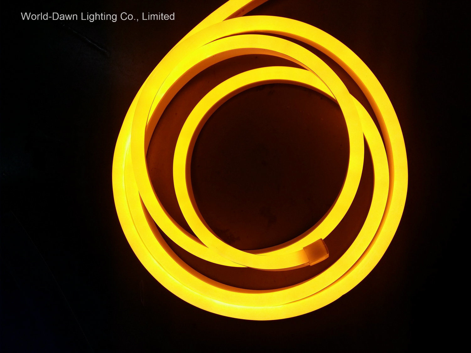 Ce EMC LVD RoHS Two Years Warranty New LED Flex Neon (WD220-SQ2W-2835-120L-NFL)
