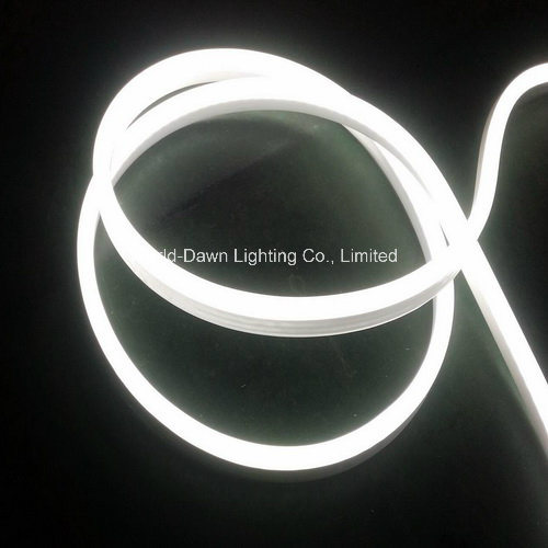 New Item High Brightness LED Neon Flex (WD220-F2W-2835-120L-NFL)