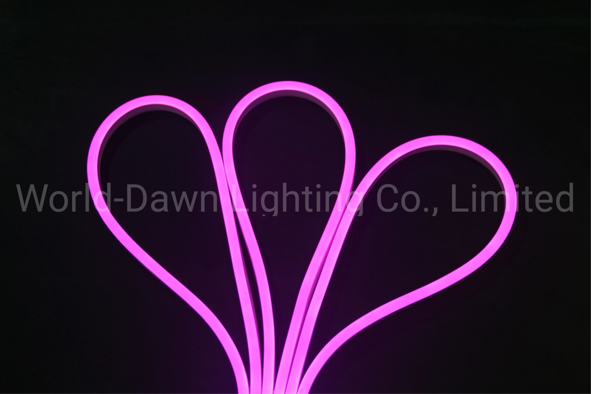 Multi-Specification Silicon LED Neon Light