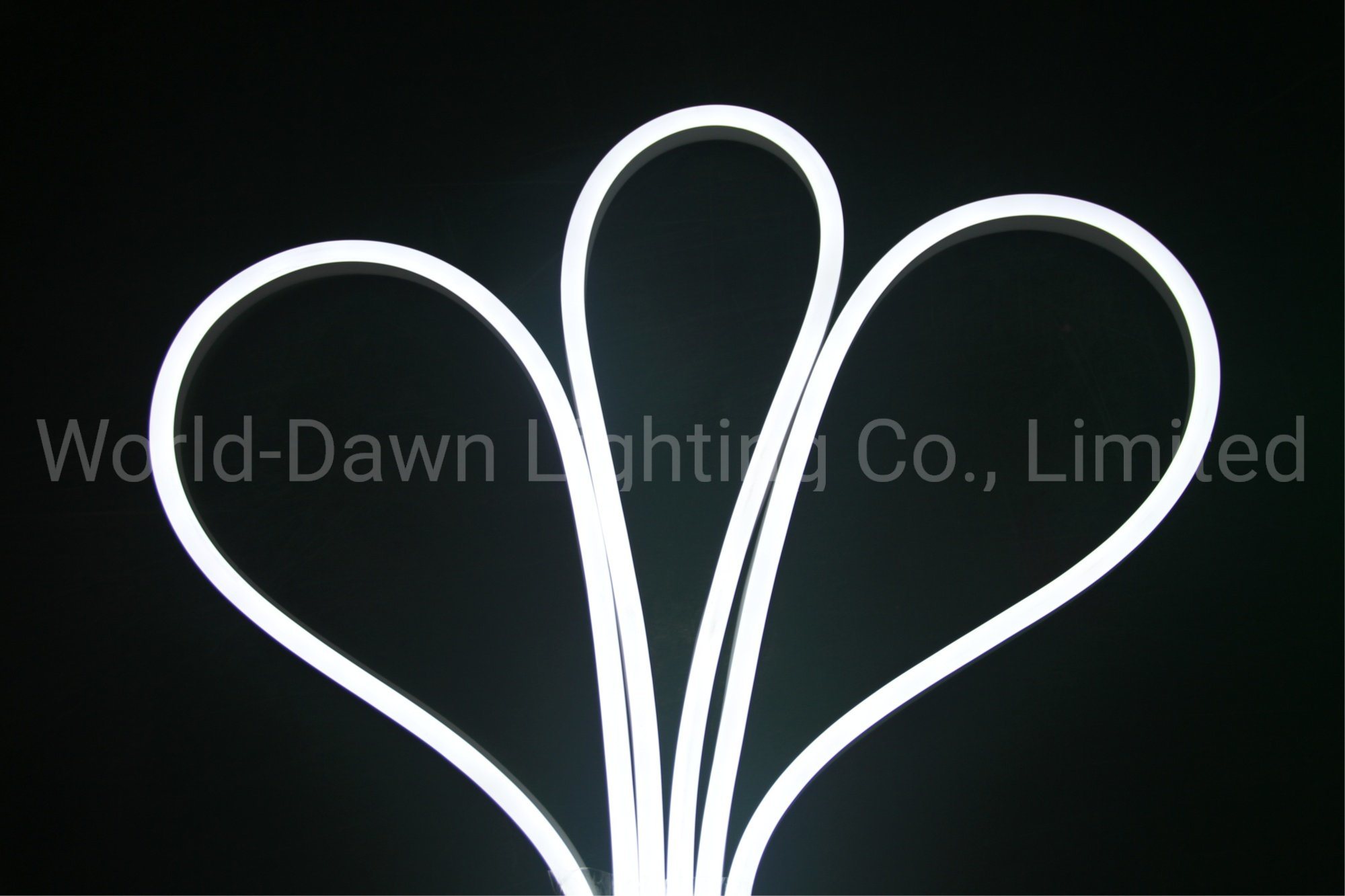 Multi-Specification Silicon LED Neon Light