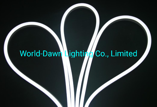 14*30mm Bottom Emitting Silicon Gel Neon with Double Row LEDs