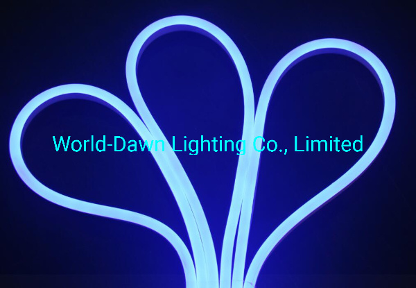 14*30mm Bottom Emitting Silicon Gel Neon with Double Row LEDs