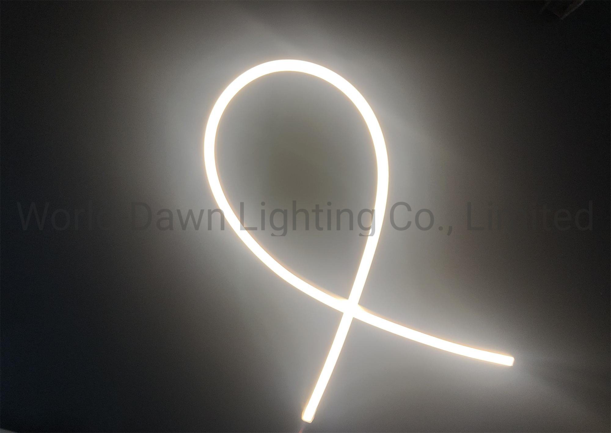 High Performance Flat Type Silicon Neon Flex