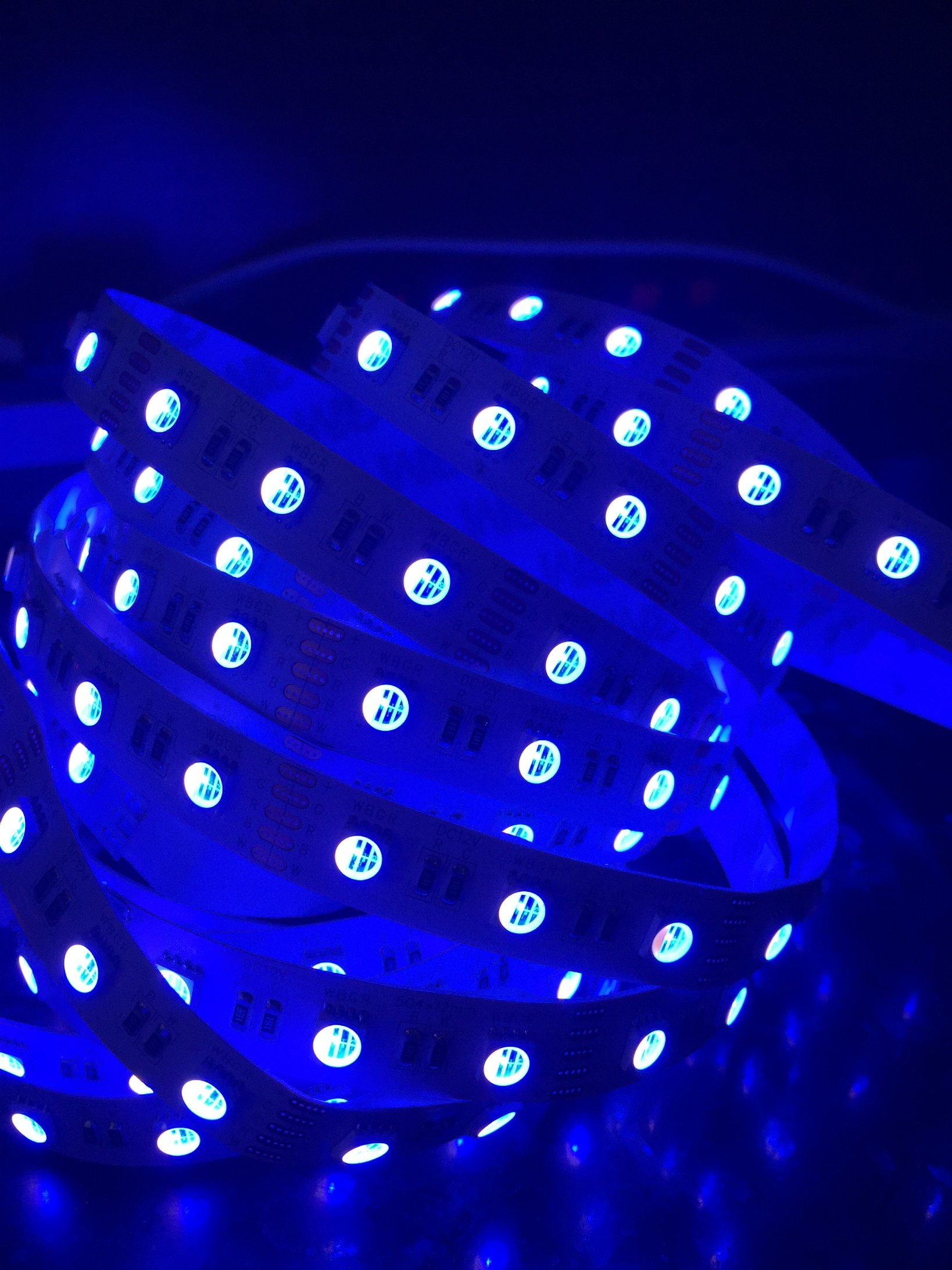 Christmas Decorative RGBW LED Strip Light