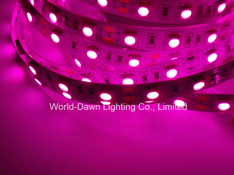 High Brightness Flexible LED Strip with CE Approval for Pink Color
