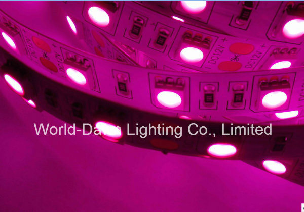 High Brightness Flexible LED Strip with CE Approval for Pink Color