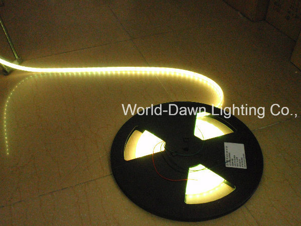 High Brightness Flexible LED Strip with CE Approval for 50 Meters Per Reel