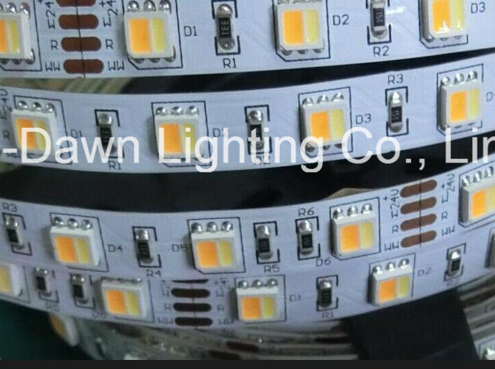 IP65 CRI Adjustable High Brightness LED Strip Light with CE Approval