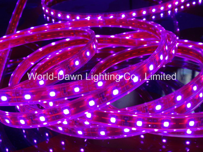 LED Flexible SMD3528/5050 Pink Strip Light with Ce& RoHS