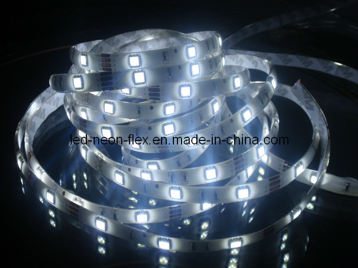 LED Flexible Cool White Strip with Ce Approval