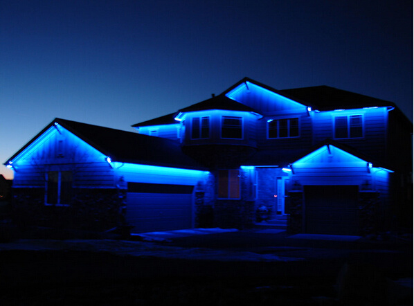 Flexible SMD3528/5050 Blue Color LED Strip Light