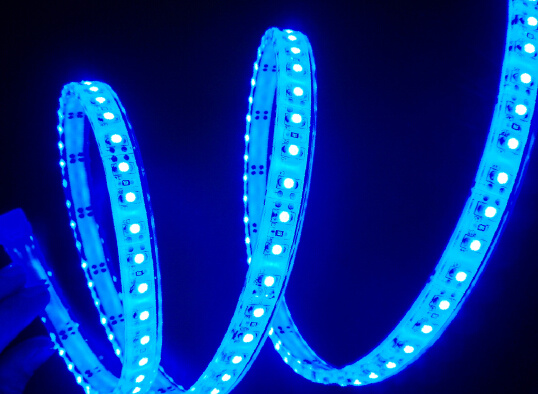 Flexible SMD3528/5050 Blue Color LED Strip Light